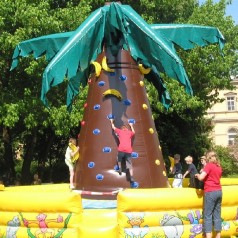 Kletterberg / Kletterpalme – NEUARTIGES SPIELKONZEPT