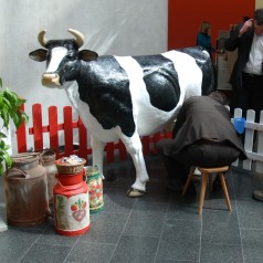 Wettmelken / lebensgroße Melkkuh