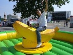 Bananen Rodeo / Banane reiten / Bull Riding / Bulle