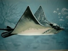 Rochen Unterwasser Bühnenbild , Maritime Dekoration , Rochen Bild