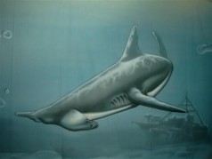 Hammerhai Unterwasser Bühnenbild ,Wasser Kulisse , Maritime Dekoration