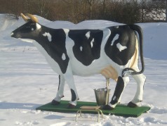 KUHWETTMELKEN mieten