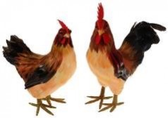 Huhn Figur, Hühner Figuren, Bauernhof, Bauer, Dekoration