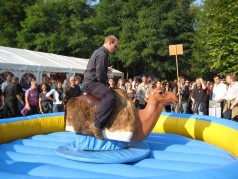 Kamel Rodeo / Kamel Riding / Bull Riding / Bulle / Hüpfburg