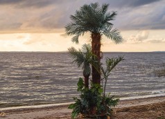 Palmen Oasen, Sommer Strand Dekoration, Karibik