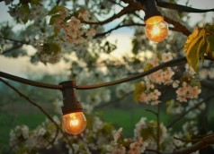 Lichterketten