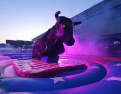 Bull Riding, Bullenreiten, Bullriding.eu