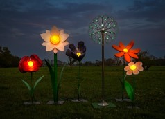 Leuchtende Blumen – Blumenwiese Riesen Blumen