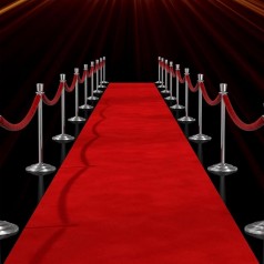 Roter Teppich 10 x 1 m VIP Empfang Läufer Empfangsteppich Red Carpet Hochzeit Event Teppich Outdoor