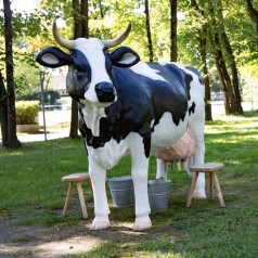 Melkkuh / Kuhmelken mieten