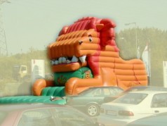 Snappy – das Löwenmaul