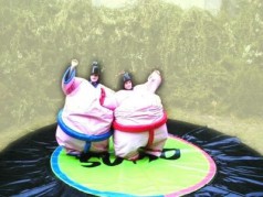 Sumo-Wrestling