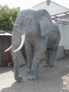 Elefant, Afrika,Tier,Zoo,Reservat