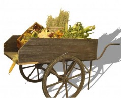 Marktwagen / Marktkarre / Obstkarre