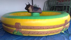 Rodeo Bull Riding inkl. Betreuung
