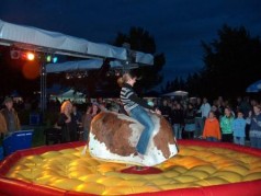 Bullriding, Bullenreiten, Rodeo, Bulle