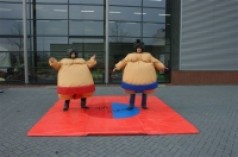 Sumo-Ringen