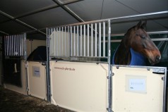 Pferdeboxen / Turnierboxen