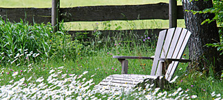 advice_womo_img_75