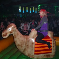 Kamelrodeo &#8211; Bullriding Variante