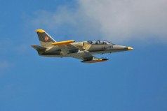 L-39 Albatros Flug in Florida