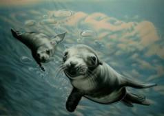 Robben Unterwasser Bühnenbild , Maritime Dekoration, Robben Kulisse