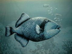 Fisch Unterwasser Bühnenbild , Wasser Kulisse , Maritime Dekoration