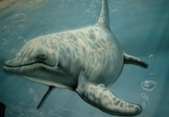 Delfin Unterwasser Bühnenbild , Maritime Dekoration , Wasser Tiere