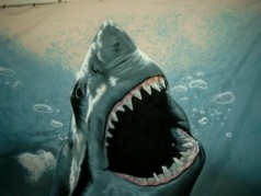 Hai Unterwasser Bühnenbild , Maritime Dekoration , Unterwasserdekoration , Wasser Bilder