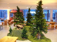 Indoor Weihnachs- Ausstattung , Weihnachtsdekoration , Weihnachtsmann