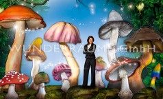 43 Pilze XXL von 0,60 – 3 m Höhe, WUNDERRÄUME GmbH vermietet: