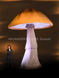 10 Riesenpilze bis 6 m Höhe – Pilze XXL