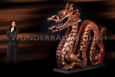 10 Drachen – XXL Halb-, Vollplastik