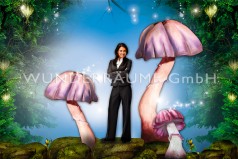 Pilze groß, Pilzset Quallenpilze (6 Pilze)