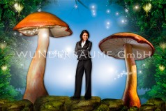 Pilze groß, Pilzset Riesenröhrlinge (3 Pilze)