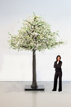 Kirschblüten-Baum M, weiß