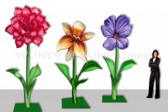 3 Riesenblumen bis 4 m / SET 1