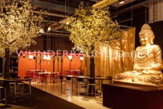 Kirschblüten-Baum L, weiß