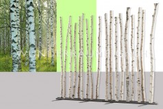 Raumteiler “Birkenstamm”