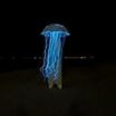 Stelzen Qualle Animationskünstler Stelzenläufer