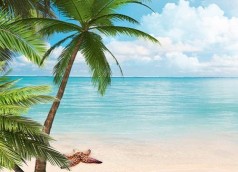 Bühnenbild Karibik , Karibik Bild, Karibik Dekoration