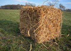 Strohballen, Stroh, Herbst Dekoration, Erntefest