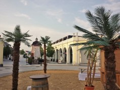 Palmen 3m , Strand Palmen , Strand Dekoration , Karibik Dekoration