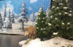 Waldlandschaft mit ausgestopften Tieren  &#8211; mit und ohne Schnee , Winterlandschaft , Winterdekoration