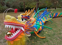 Chinesischer Drache &#8211; Tanzdrache aus Ballons &#8211; Ballondrachen