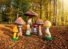 Riesen Pilze , Pilz , Herbstdekoration, Wonderland