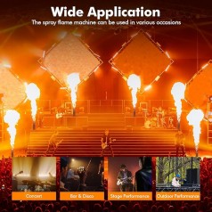 Flammenprojektor Flammeneffektmaschine 200 W Bühneneffektmaschine Flammenwerfer Feuermaschine für DJ