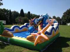 Delphin Rodeo / Dolphin Riding / Rodeo / Bull Riding / Beach Party