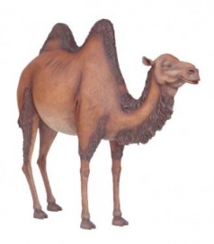 Kamel Figur