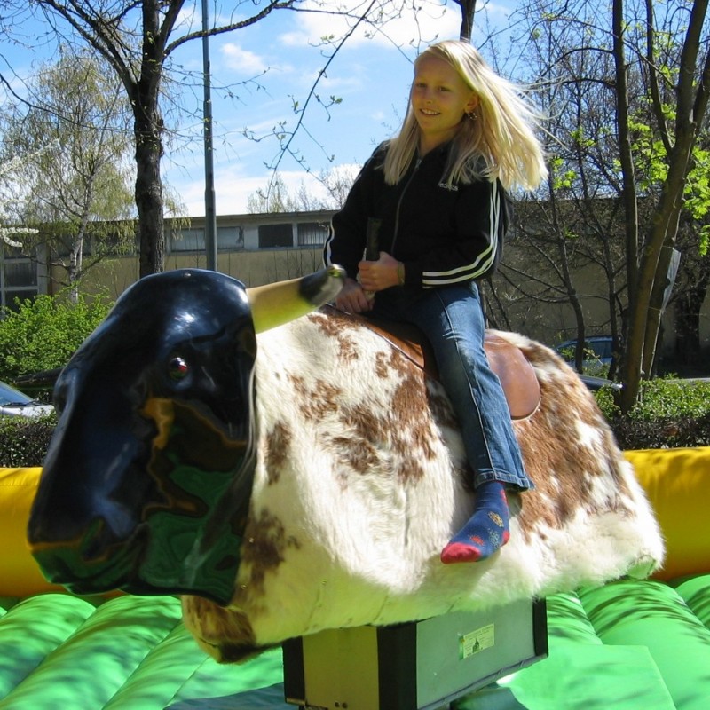 Bullriding - American Western Rodeo